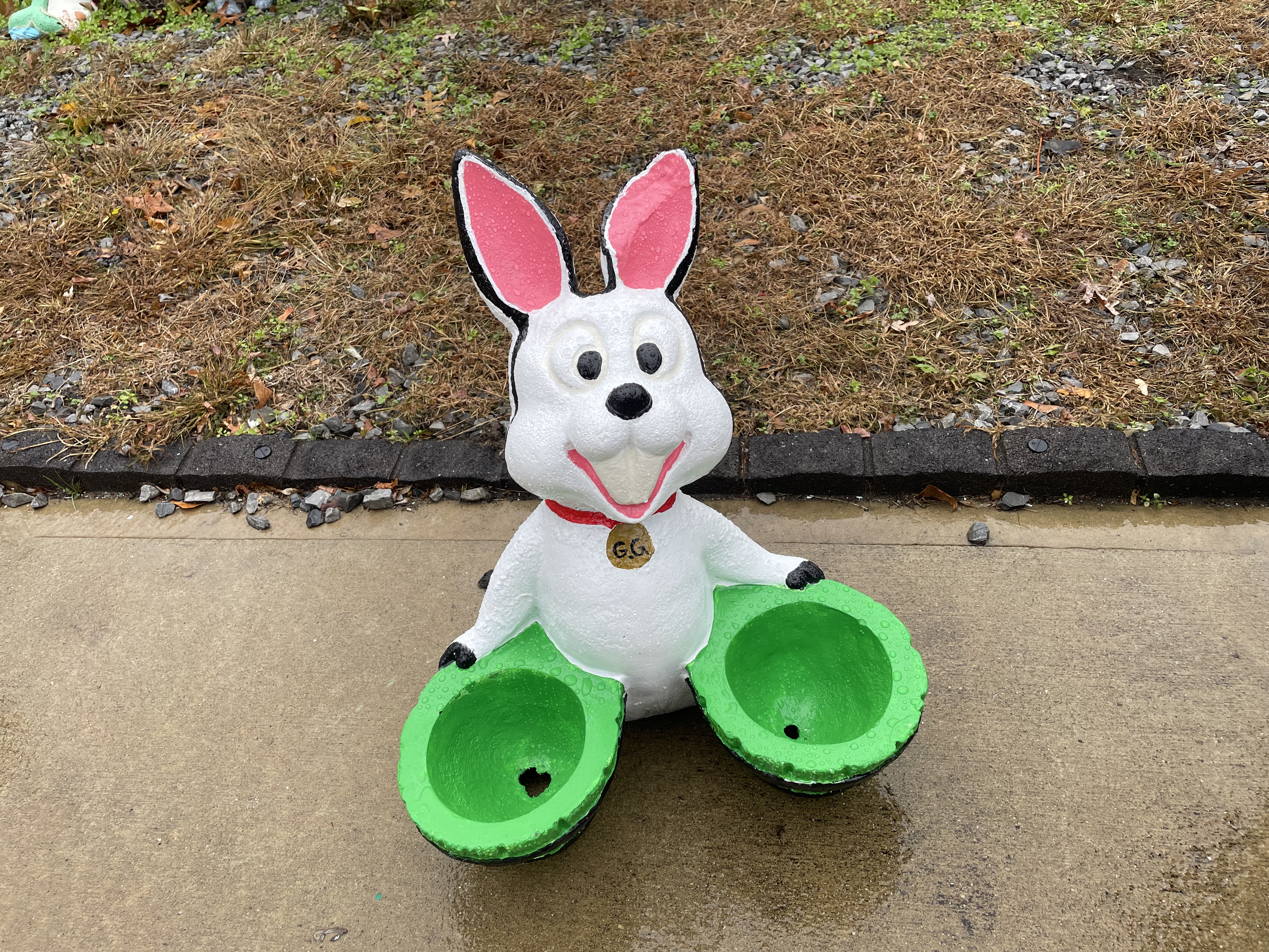 Broken Ear Rabbit after