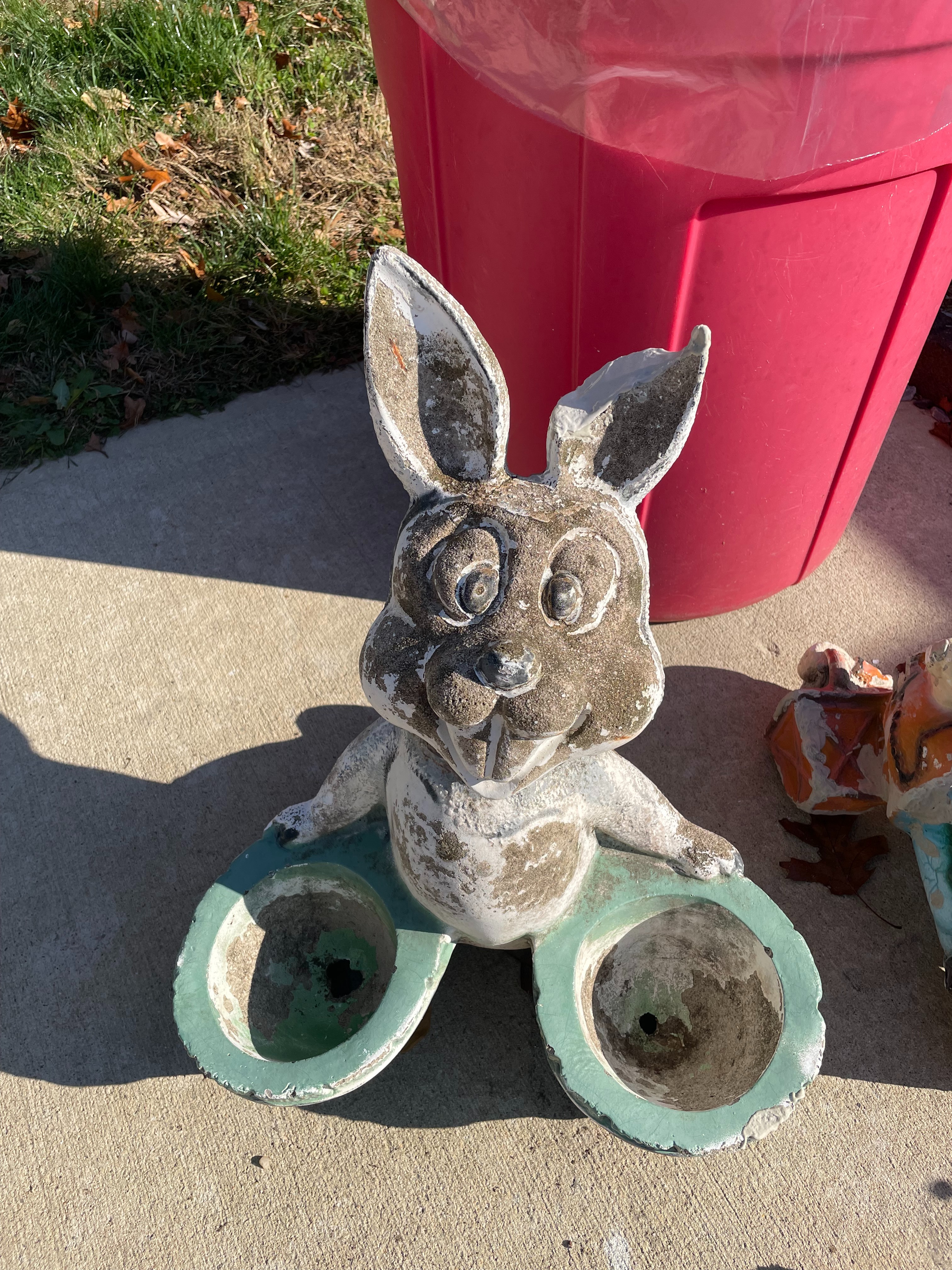 Broken Ear Rabbit before