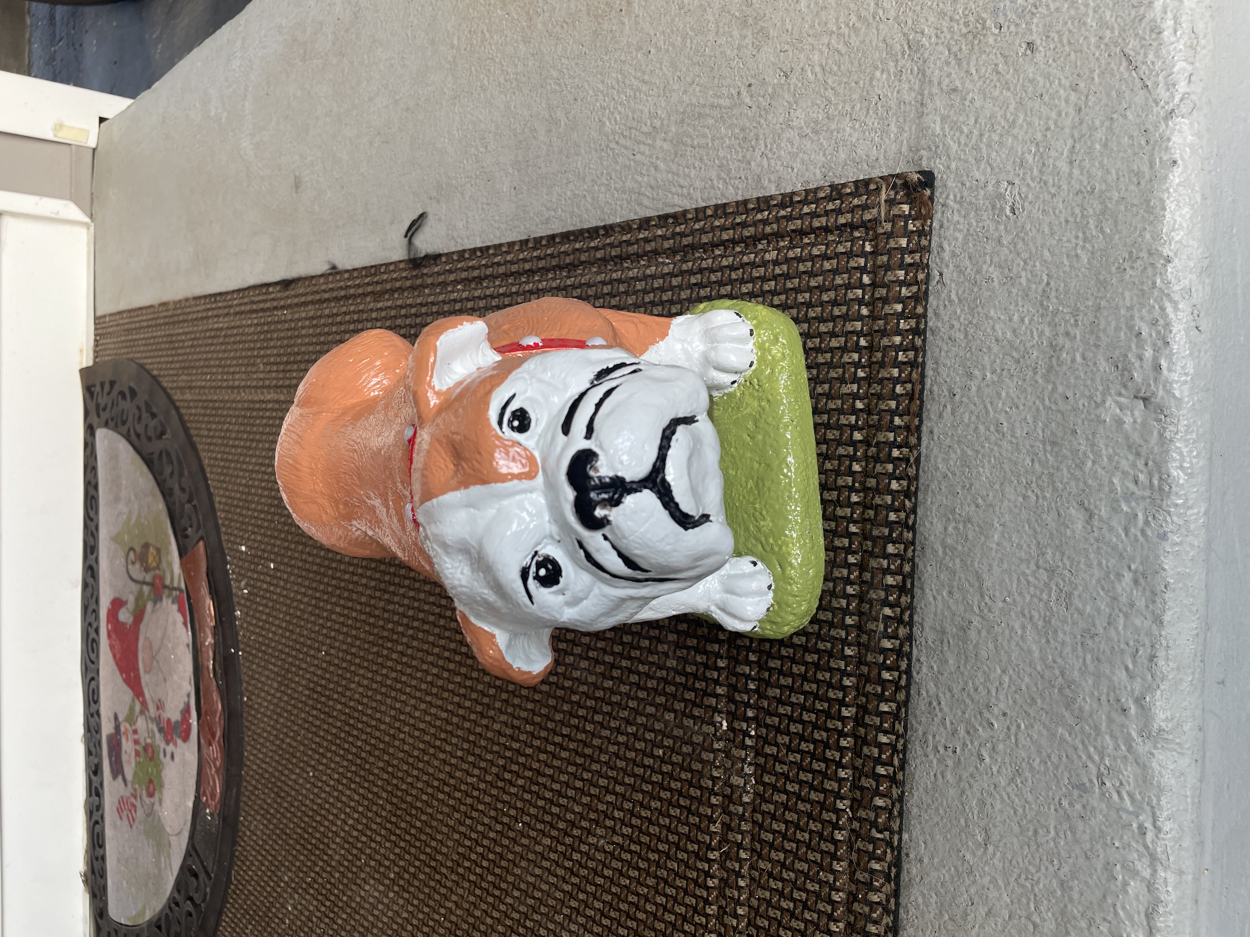 Bull Dog Front after
