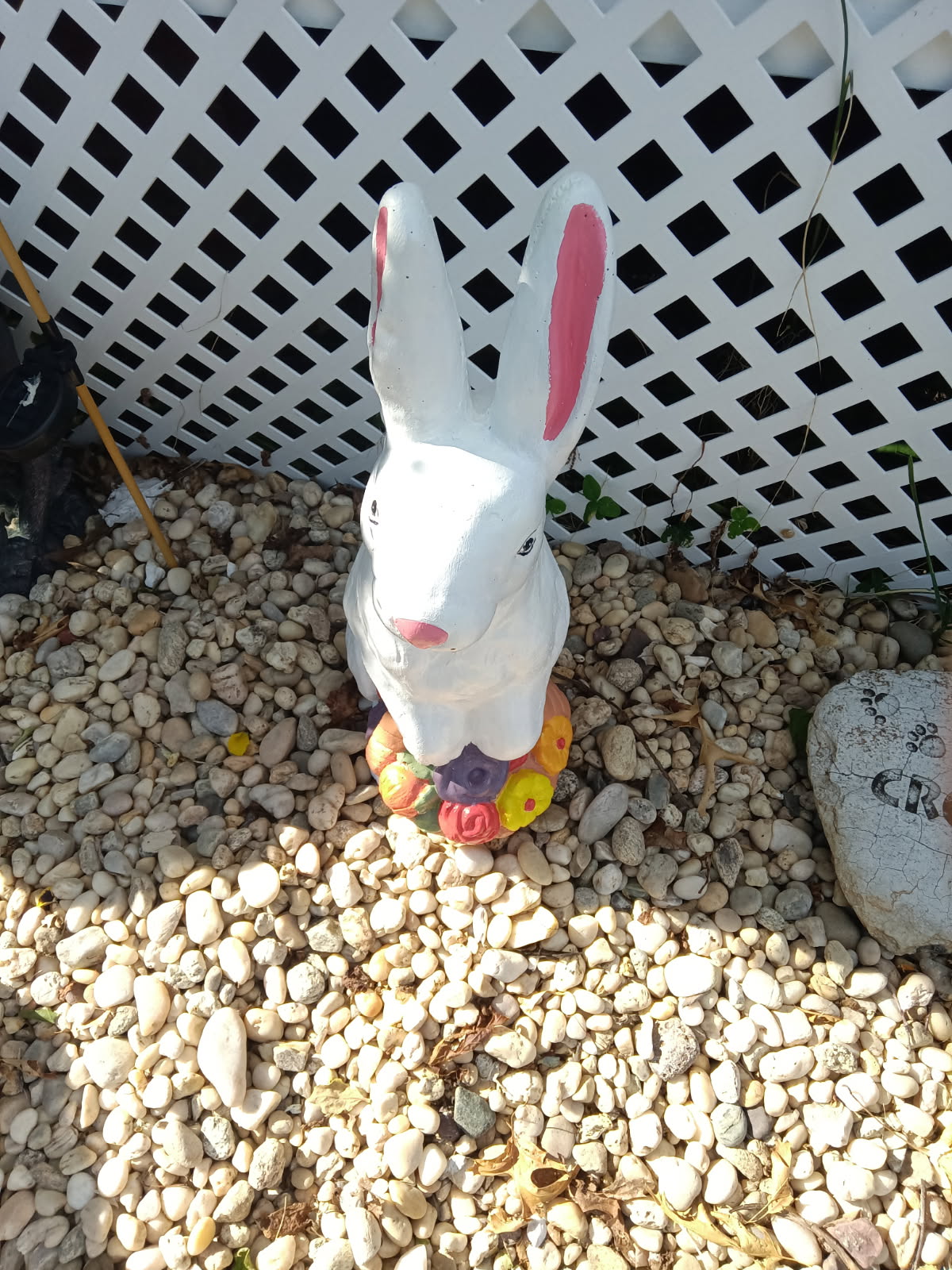Concrete Bunny after