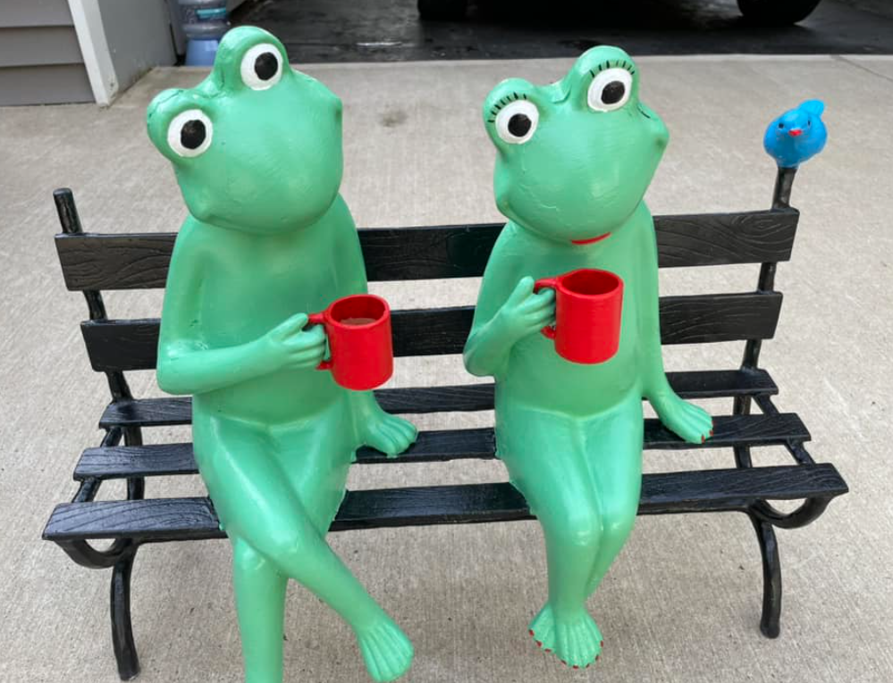 Frogs on Bench after