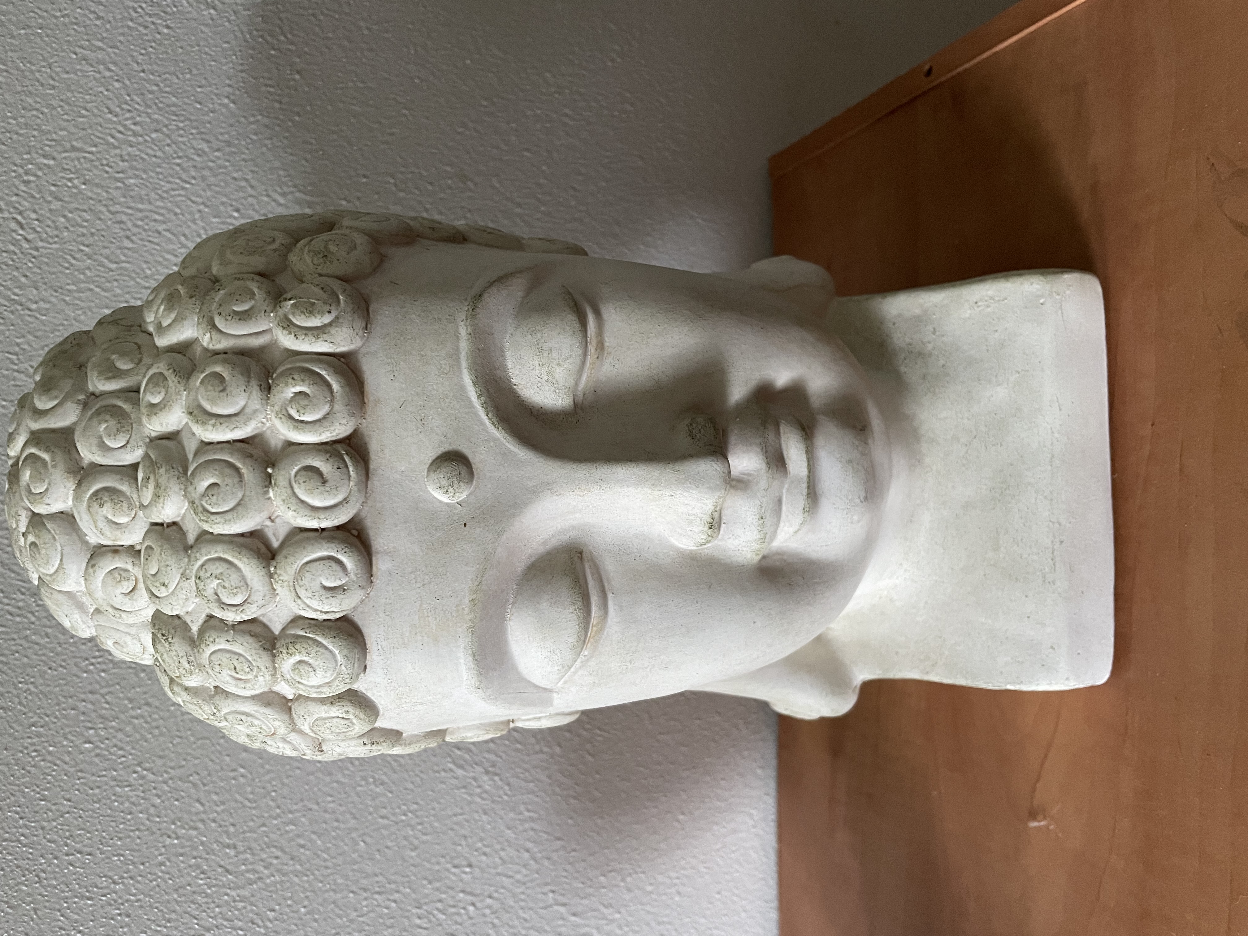 Large Buddha Head before