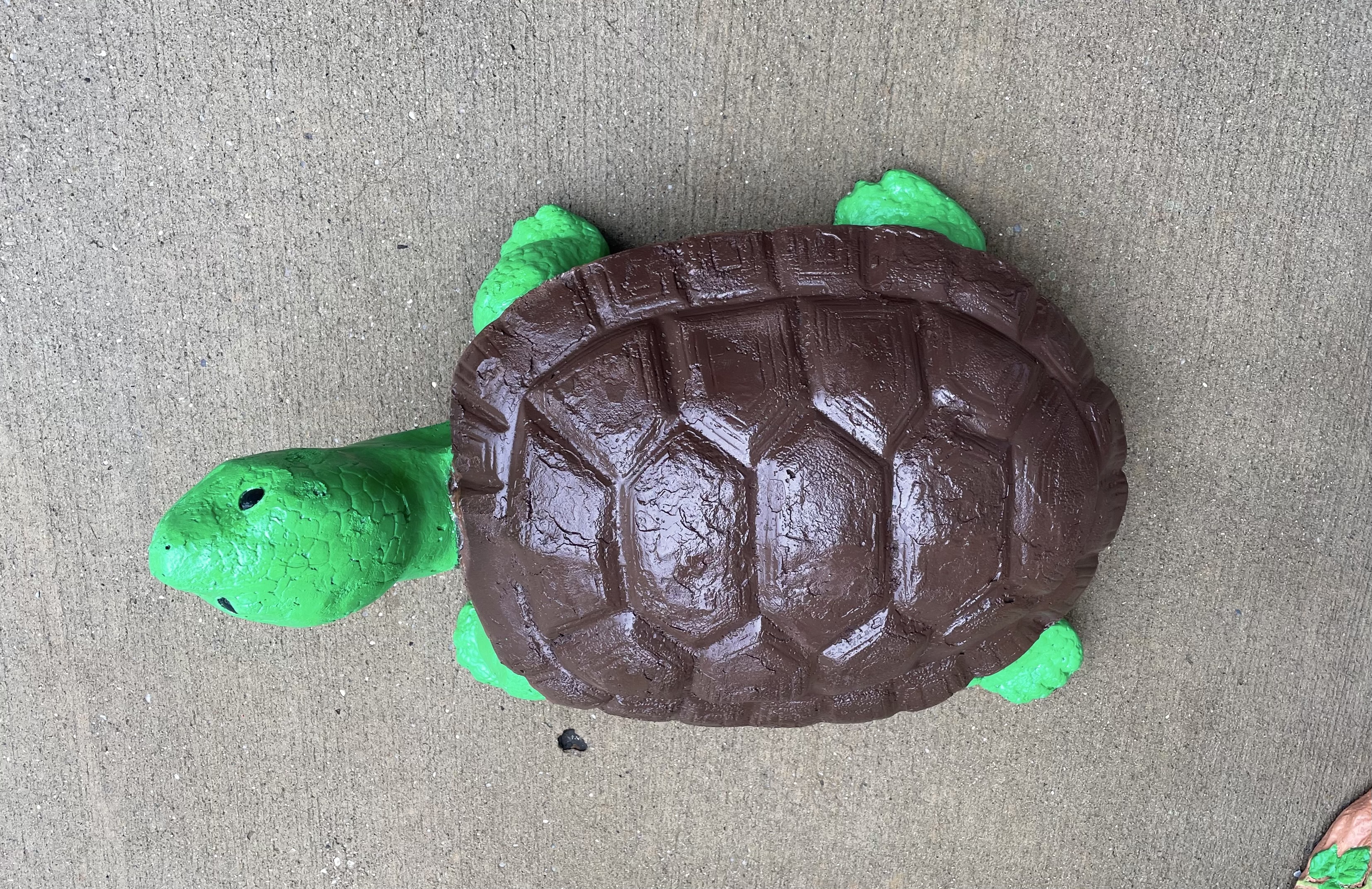 3 Turtles - Turtle 1 after