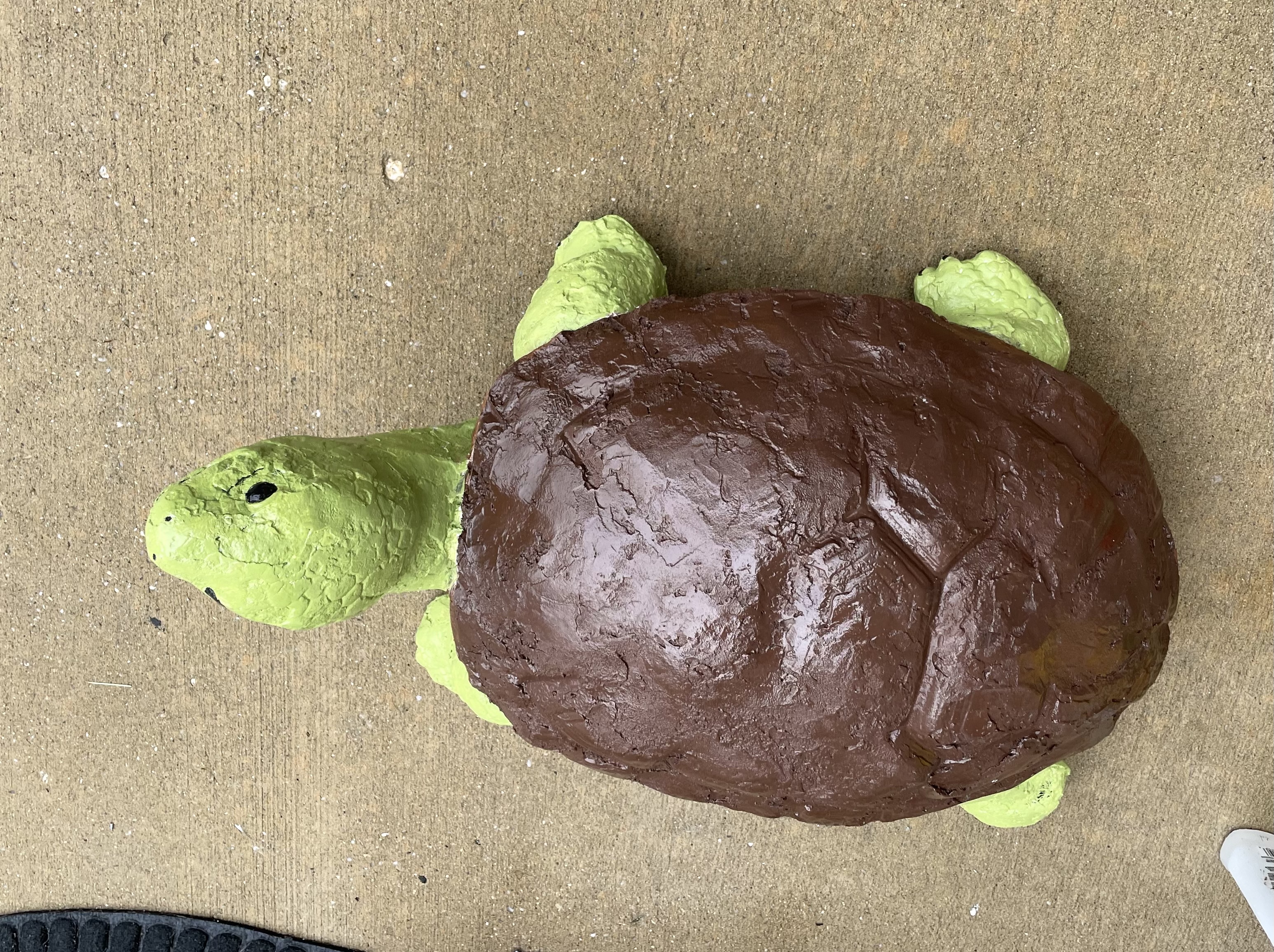 3 Turtles - Turtle 2 after