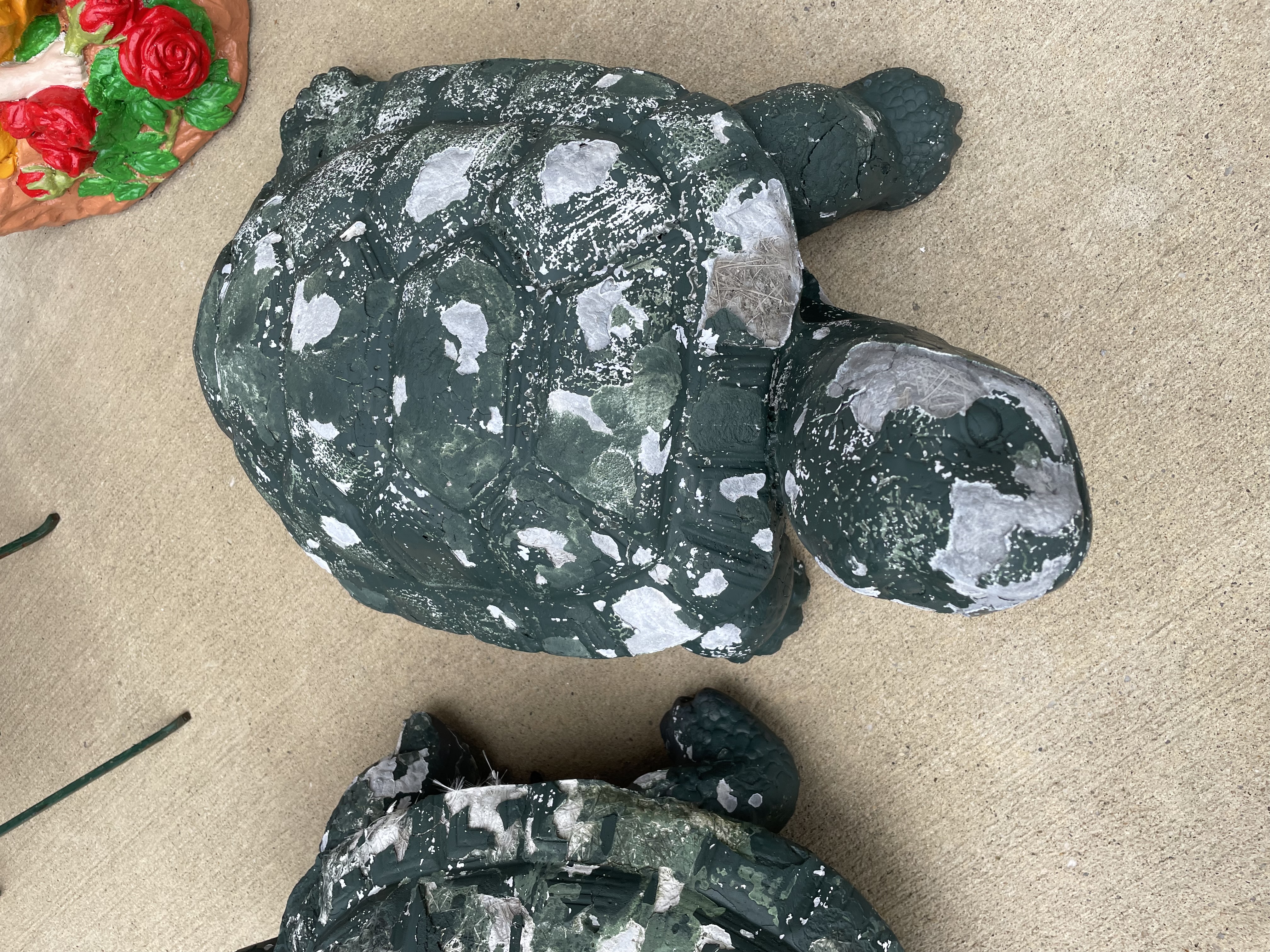 3 Turtles - Turtle 2 before