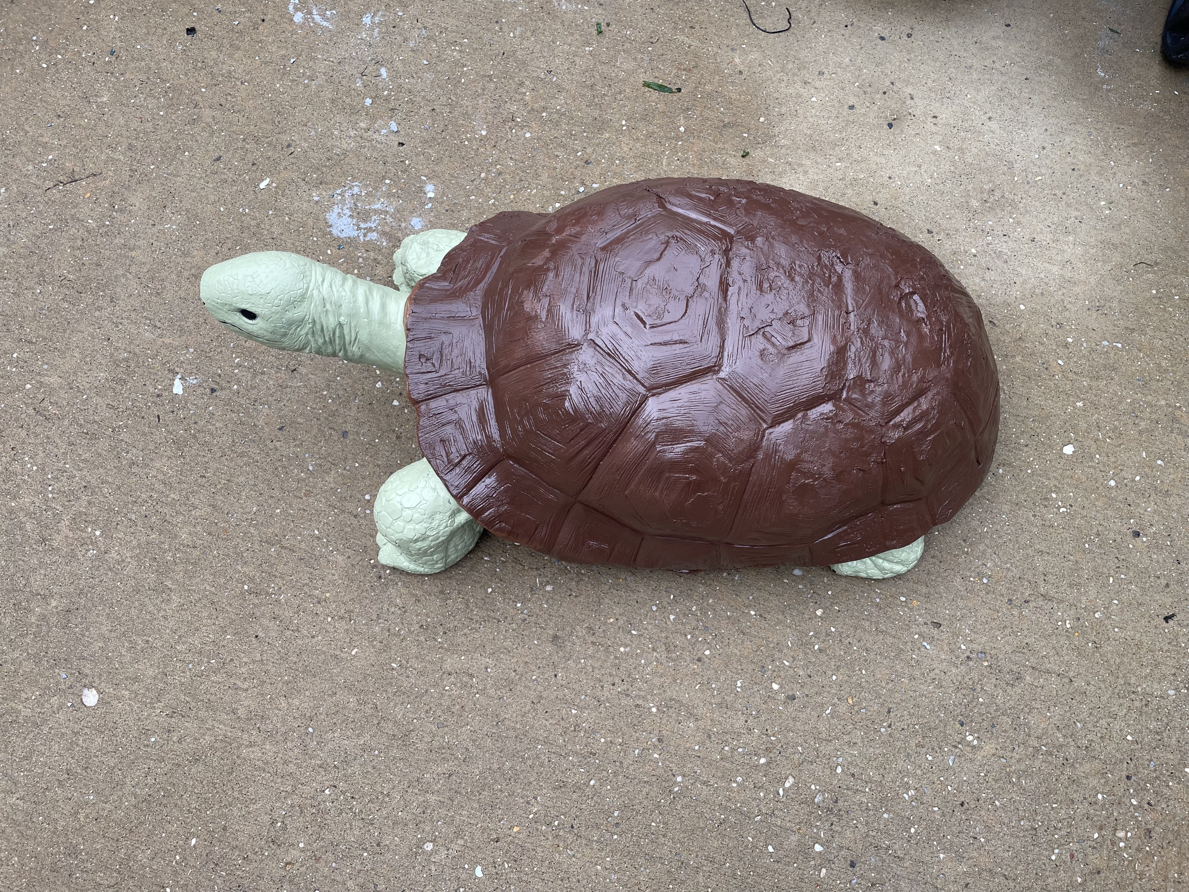 3 Turtles - Turtle 3 after
