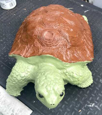 Turtle after