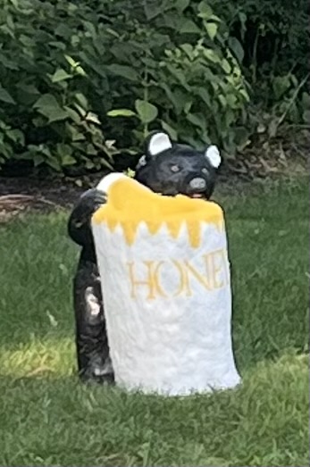 Bear (Honey Pot) after