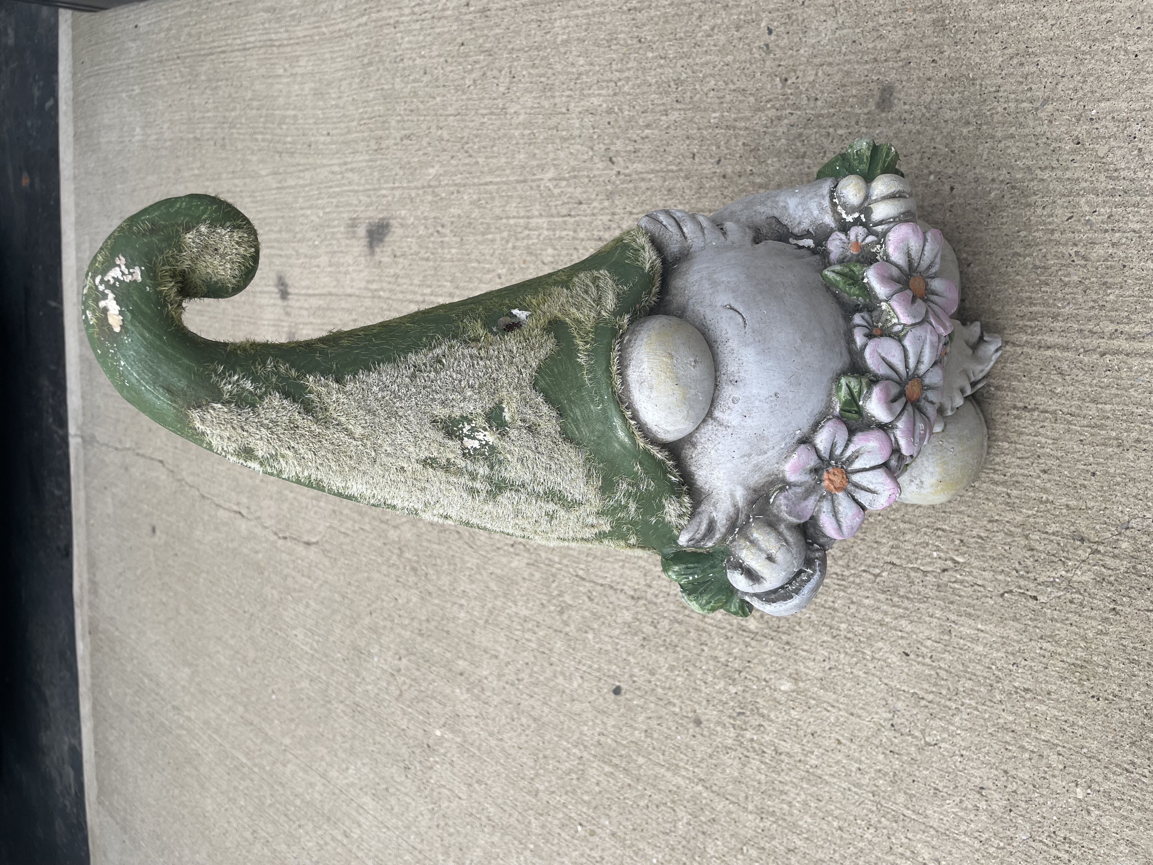 Butterfly Gnome Front before
