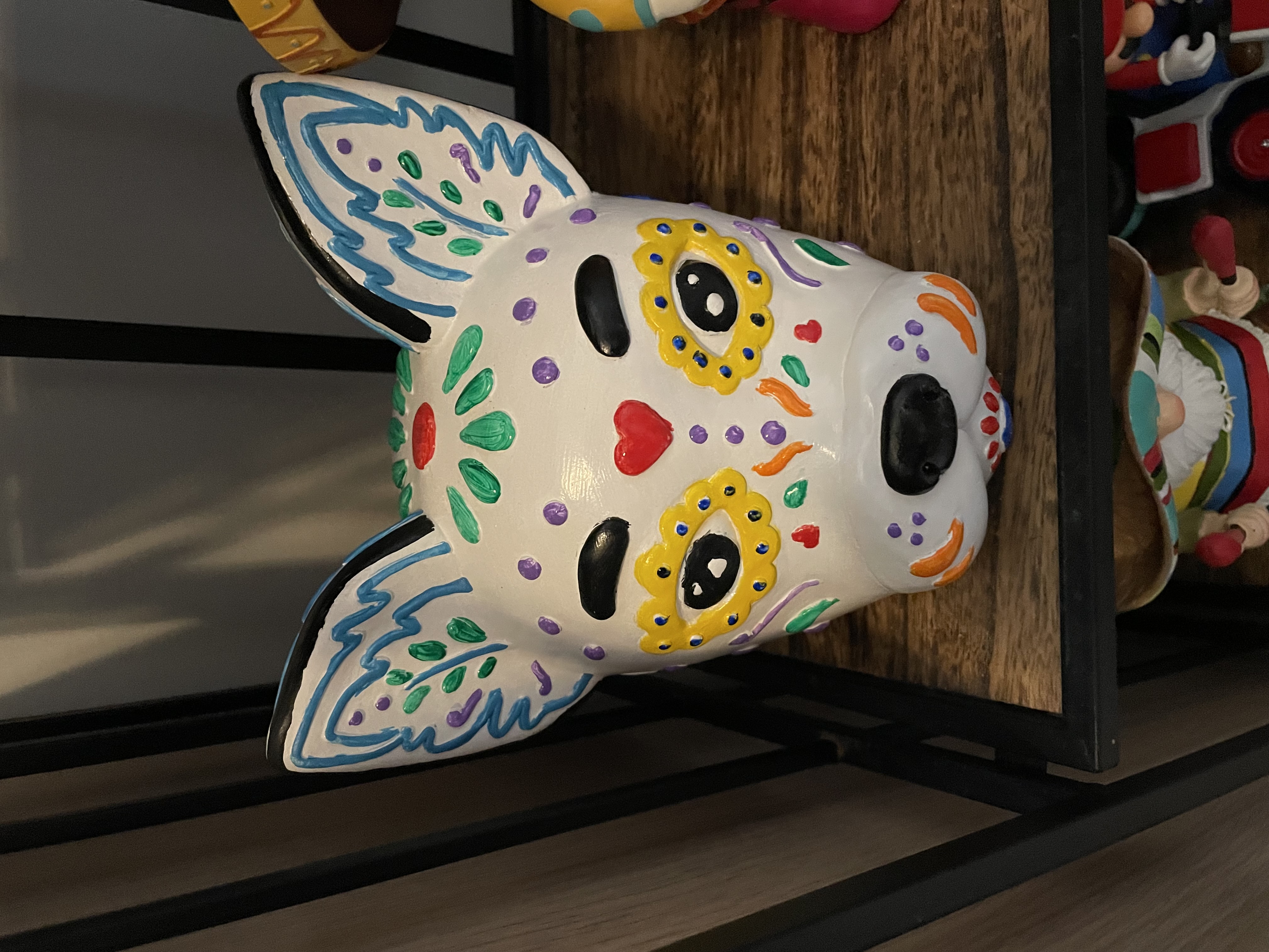Cat after