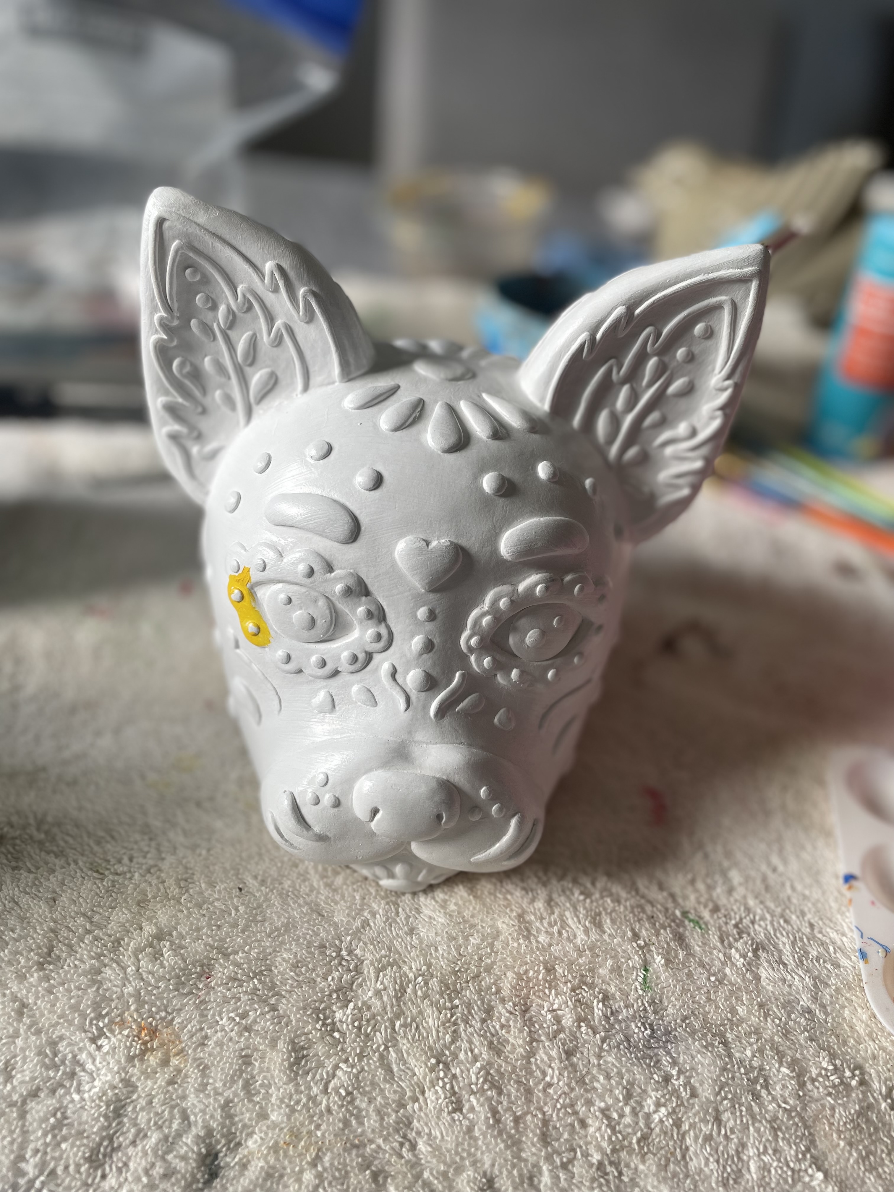 Cat before