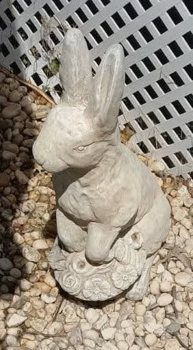 Concrete Bunny before