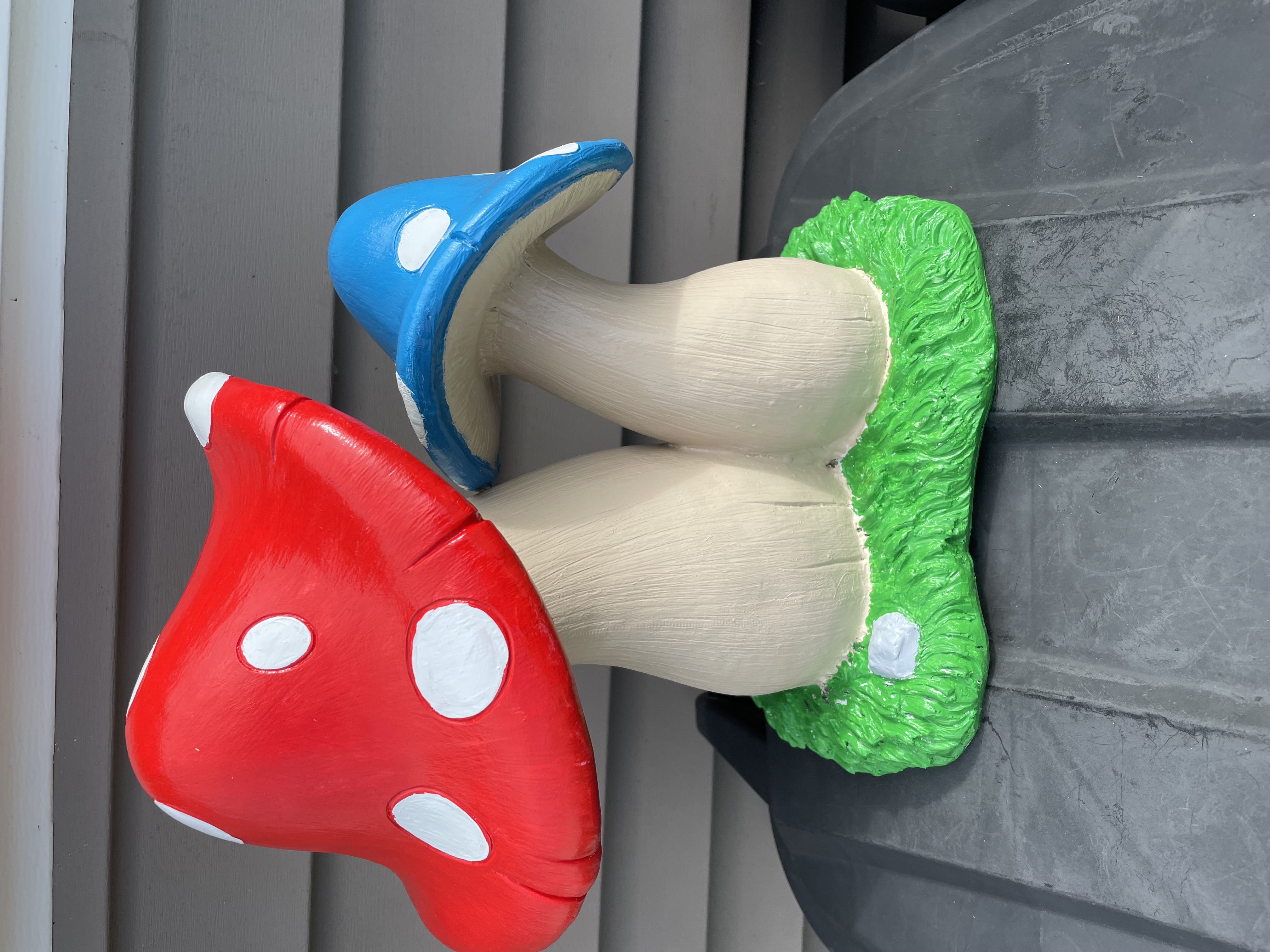 Double Mushrooms after