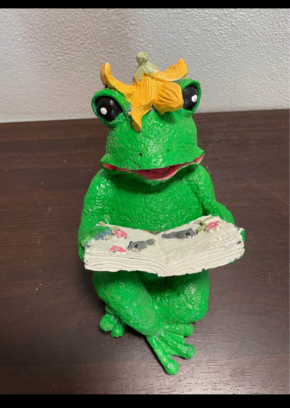 Frog Reading after