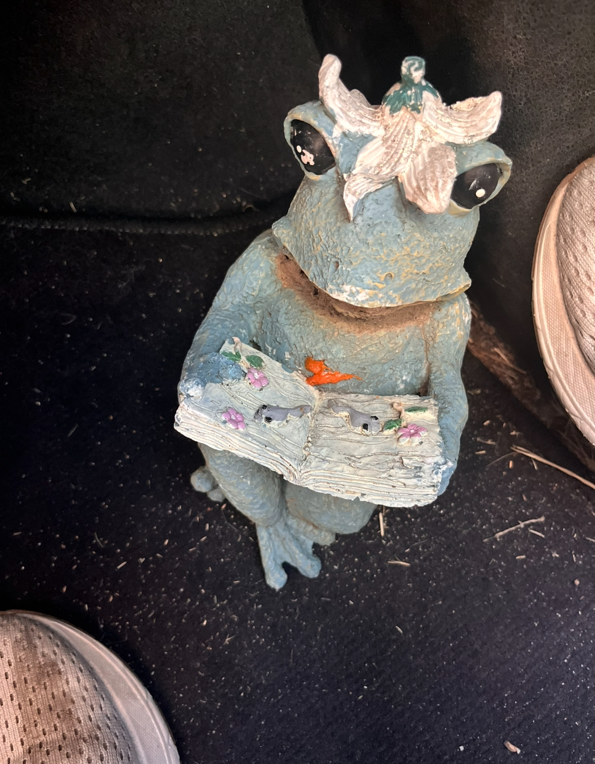 Frog Reading before