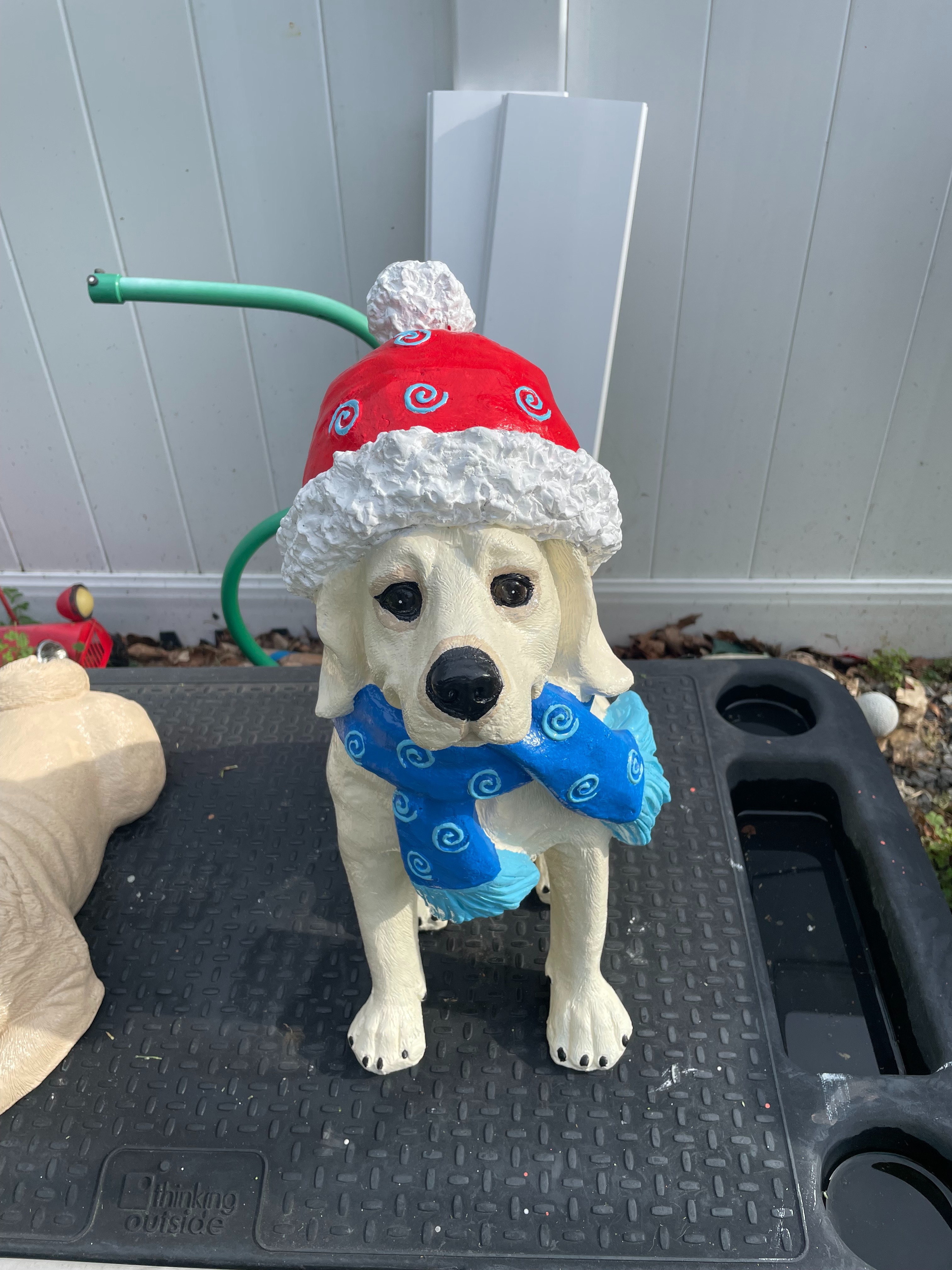 Labrador after