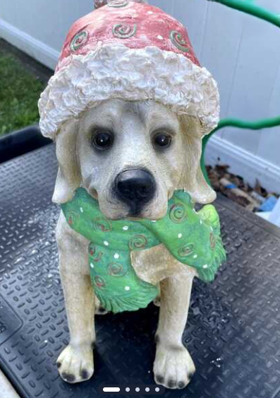 Labrador before
