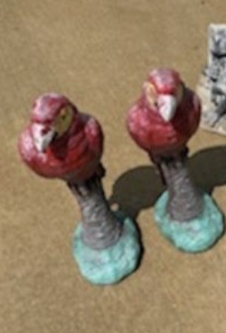 Parrots before