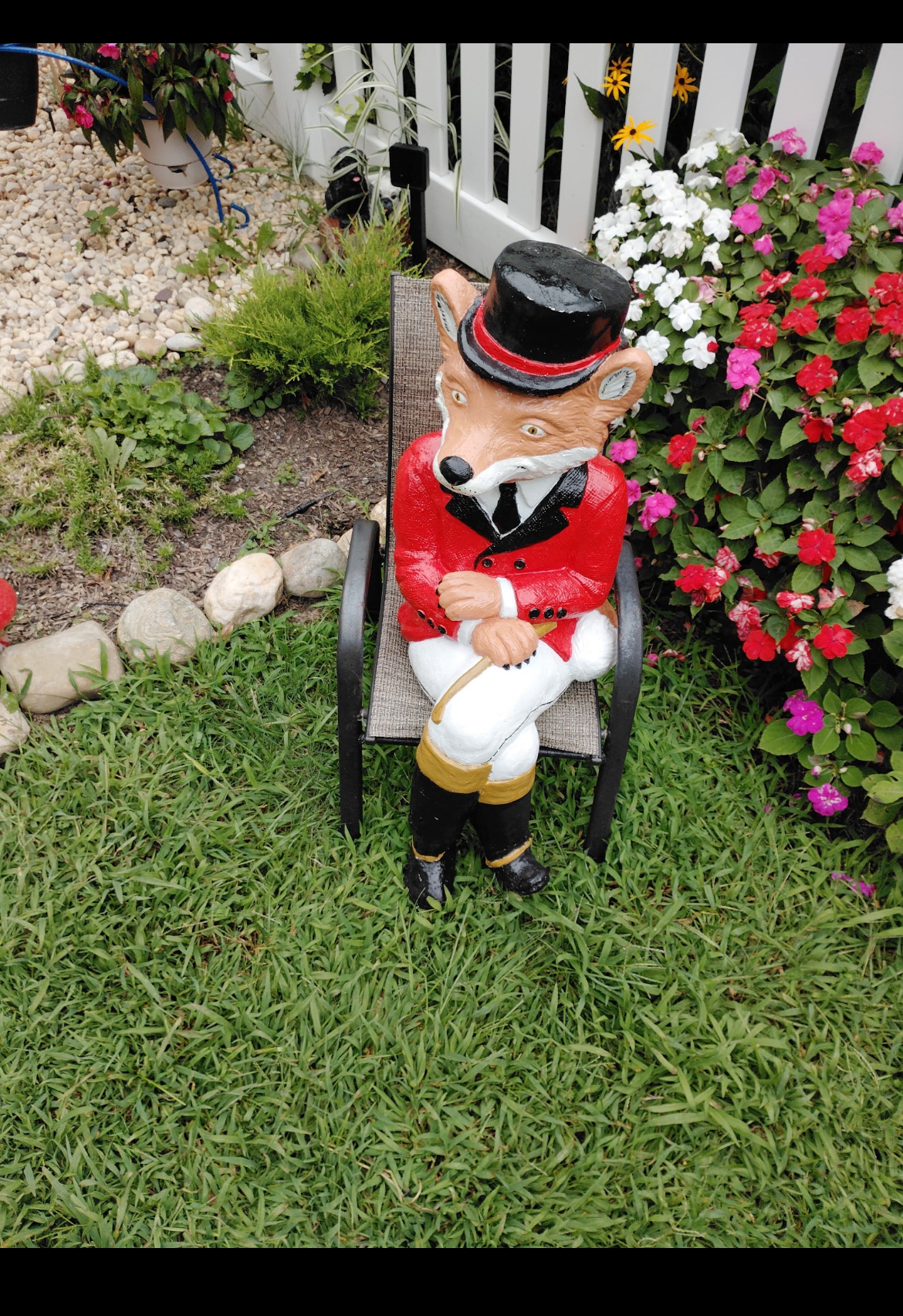 Sitting Fox after