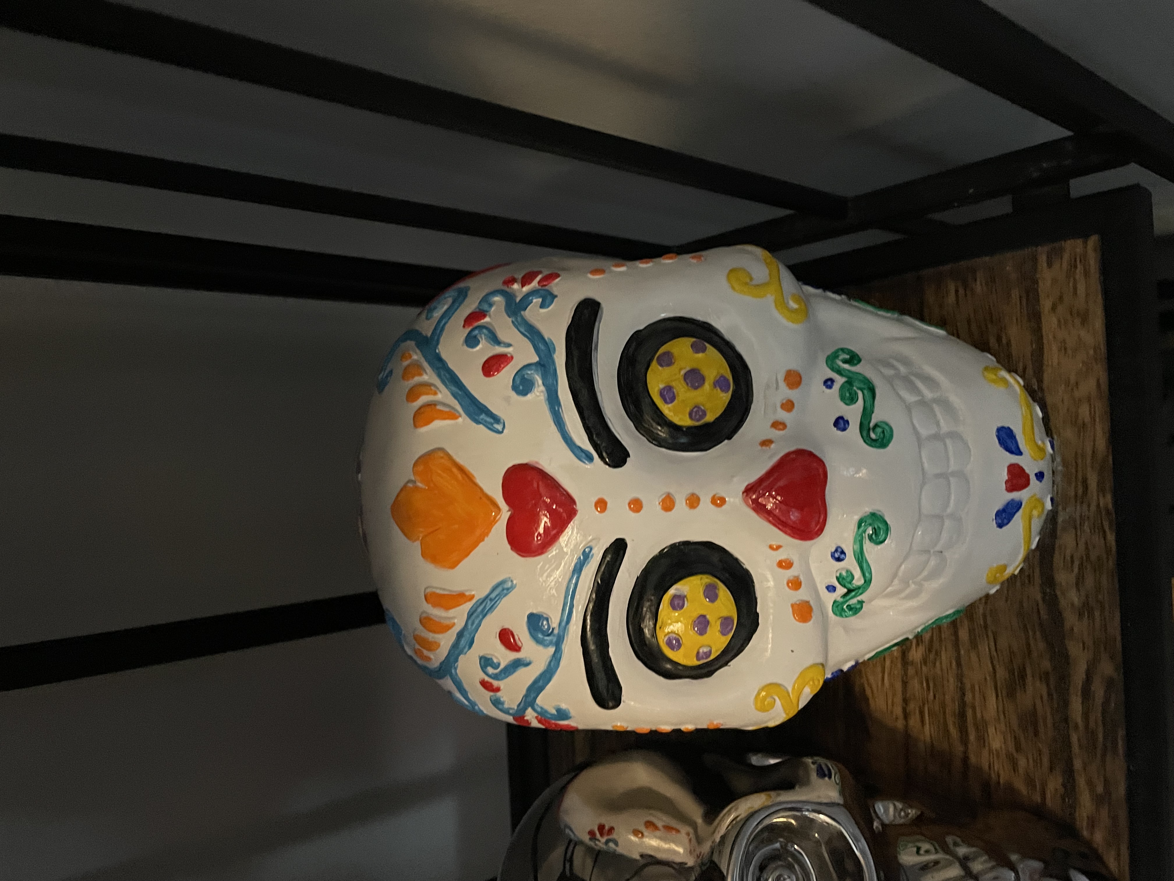 Skull after