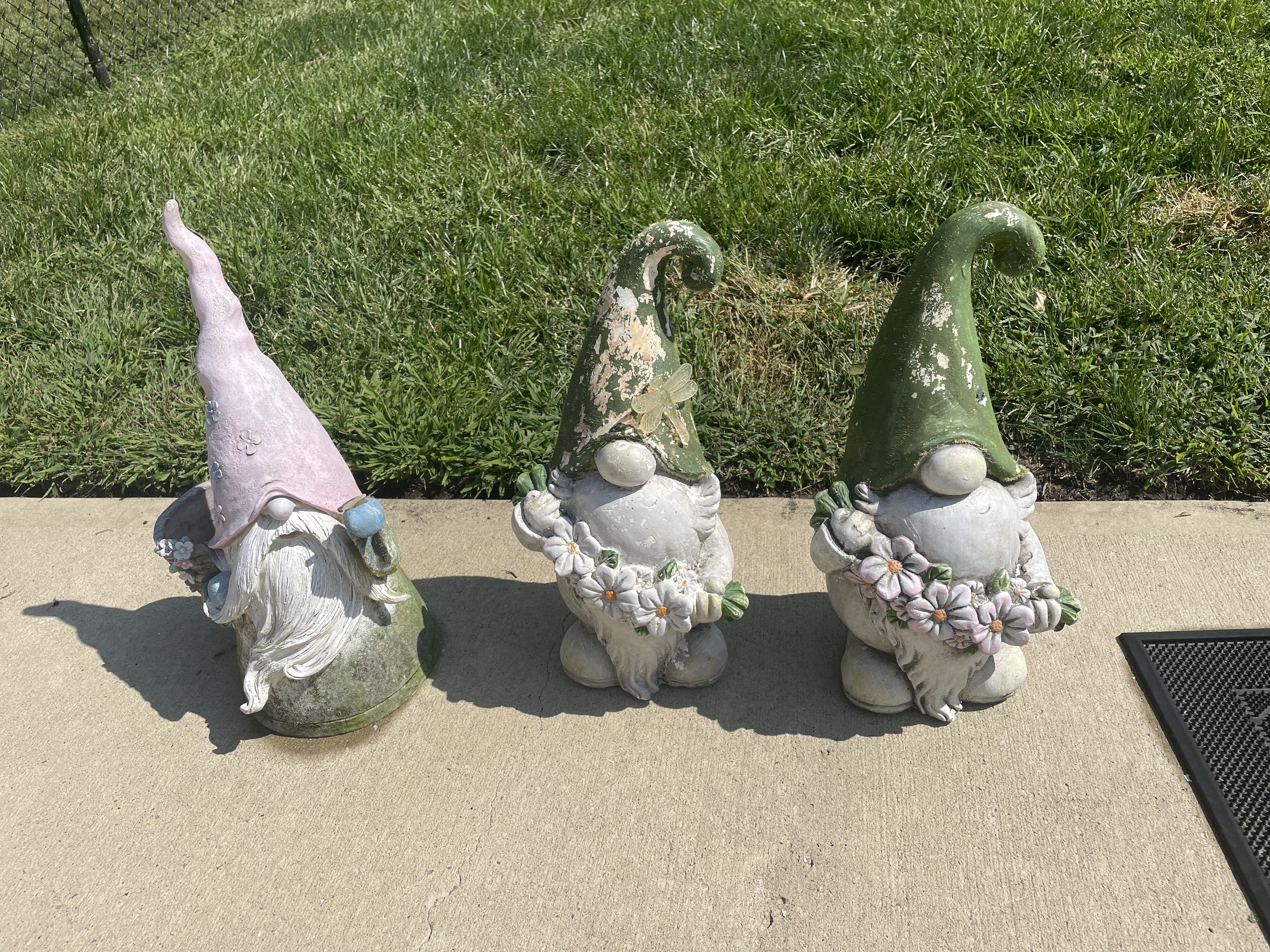 Trio Gnomes before